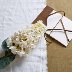 White Spear Hydrangea