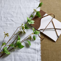 Tall Mock Orange Spray