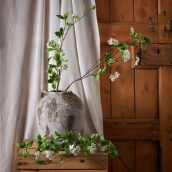 Tall Mock Orange Spray