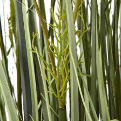 Large White Meadow Plant In Pot