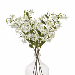 Turks Cap Green Lily Spray