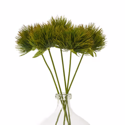 Green Moss Stem