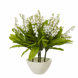 Lily Of The Valley Bunch