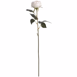 Hill Interiors Artificial Austin Rose