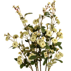 Hill Interiors Faux Wild Meadow Rose - One Size, Green