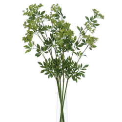 Hill Interiors Faux Ammi