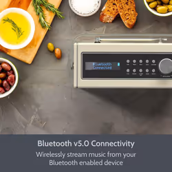 DAB/DAB+ & FM Radio Portable Bluetooth Speaker, Rechargeable Digital Radio with USB Charging for 15 Hours Playback DAB Radio with Bluetooth Stereo