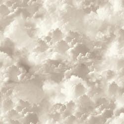 Arthouse Vanilla Skies Neutral Wallpaper Clouds Modern Contemporary Feature Wall