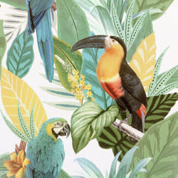 Toucan Jungle Multi