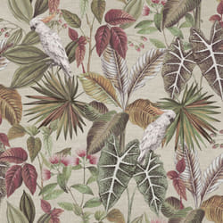 Vintage Parrot Multi sw12