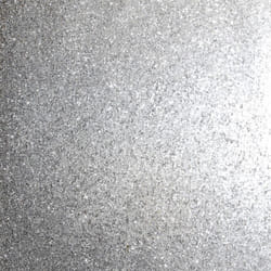 Sequin Sparkle Silver sw9