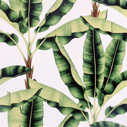 Musa Green Wallpaper Arthouse Modern Tropical Palm Jungle White