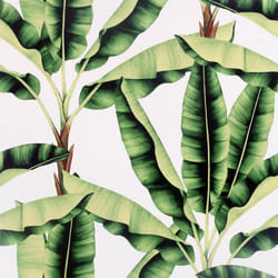 Musa Green Wallpaper Arthouse Modern Tropical Palm Jungle White
