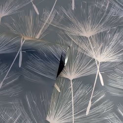 Harmony Dandelion Charcoal/Rose Gld