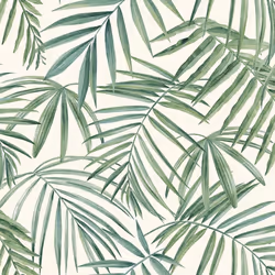 Arthouse Palm Leaves Green Wallpaper Tropical Botanical Trendy