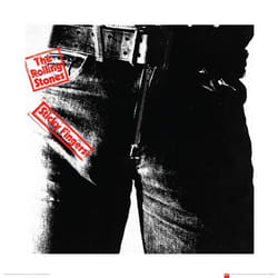 Pyramid International PPR45325 poster 1 pc(s)