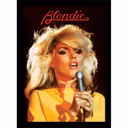 Pyramid International FP10998P, 1 pc(s), Blondie, Rectangle