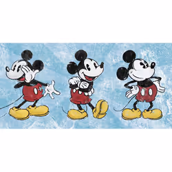 Pyramid International WDC93040, 1 pc(s), Disney, Rectangle