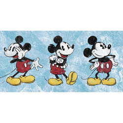 Pyramid International WDC93040 poster 1 pc(s)