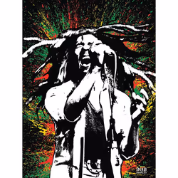 Pyramid International WDC92431, 1 pc(s), Bob Marley, Rectangle