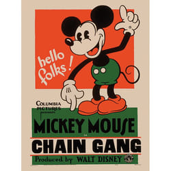 Pyramid International WDC90765 poster 1 pc(s)