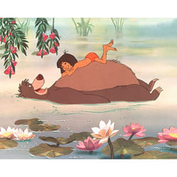 Pyramid International WDC94370 poster 1 pc(s)