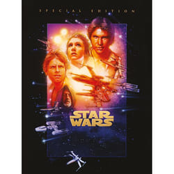 Pyramid International WDC90660 poster 1 pc(s)