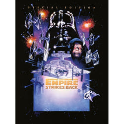 Pyramid International WDC90661 poster 1 pc(s)