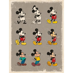 Pyramid International WDC92455 poster 1 pc(s)