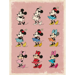 Pyramid International WDC92457 poster 1 pc(s)