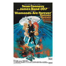 Pyramid International WDC92013 poster 1 pc(s)