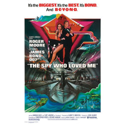 Pyramid International WDC92020 poster 1 pc(s)