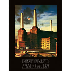 Pyramid International WDC92055 poster 1 pc(s)