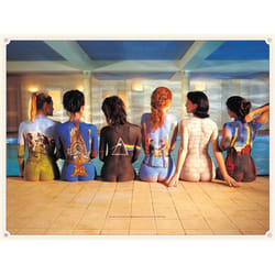 Pyramid International WDC92056 poster 1 pc(s)