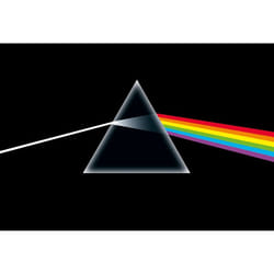 Pyramid International WDC92057 poster 1 pc(s)