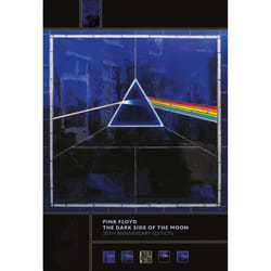 Pyramid International wdc92058 poster 1 pc(s)