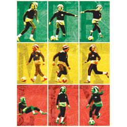 Pyramid International WDC90024 poster 1 pc(s)