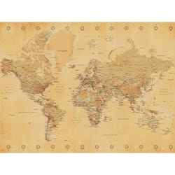 Pyramid International WDC90058 poster 1 pc(s)
