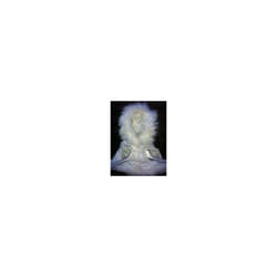 Winter Holiday White Jacket, Play Dress for Doll, Teddy or Pet