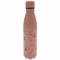 Disney Princess Thermal Flask