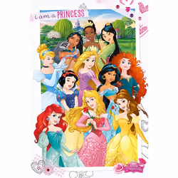 Pyramid International PP33604, 1 pc(s), Disney, Rectangle