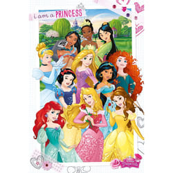 Pyramid International PP33604 poster 1 pc(s)