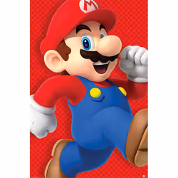 Pyramid International PP34104, 1 pc(s), Nintendo, Rectangle