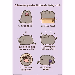 Pyramid International PP34253, 1 pc(s), Pusheen, Rectangle