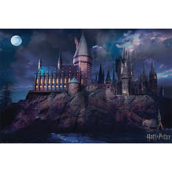 Pyramid International PP34369 poster 1 pc(s)