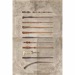 Pyramid International PP34395, 1 pc(s), Wizarding World, Rectangle