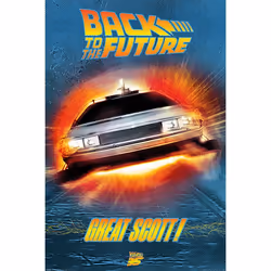 Pyramid International PP34681, 1 pc(s), Back to the Future, Rectangle