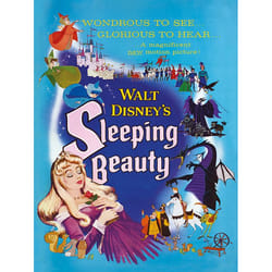 Pyramid International WDC92486 poster 1 pc(s)