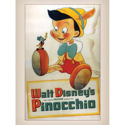 Pyramid International WDC92493 poster 1 pc(s)