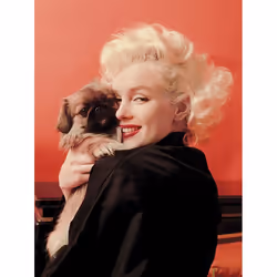 Pyramid International WDC92549, 1 pc(s), Marilyn Monroe, Rectangle